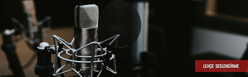 Lehçe Dublaj Seslendirme Örnekleri
