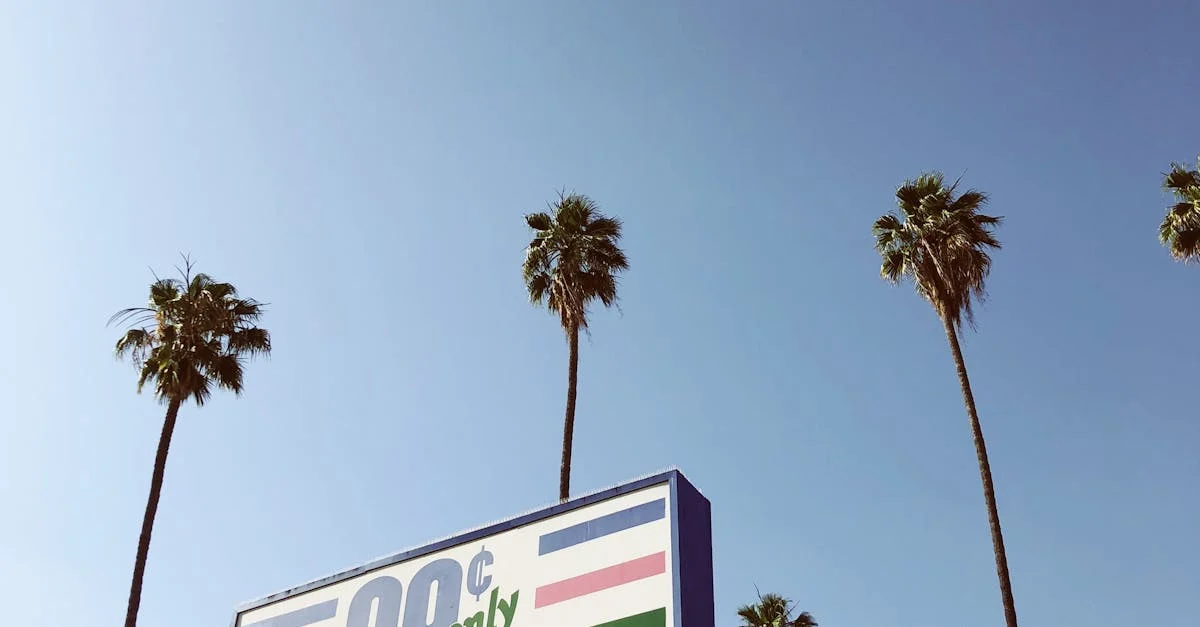 Santral Anons Müziği: İletişimde Duygusal Bir Dokunuş