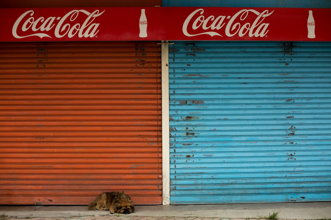 Santral KVKK Anonsu: Gizliliğinizi Koruma Yöntemleri ve Önemine Dair Bilgiler