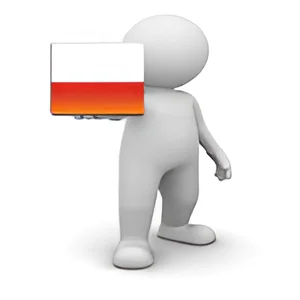 Profesyonel Lehçe Seslendirme